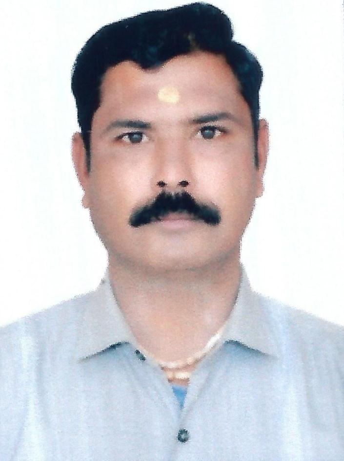 Mr. Amit Bhatnagar (CEO)
